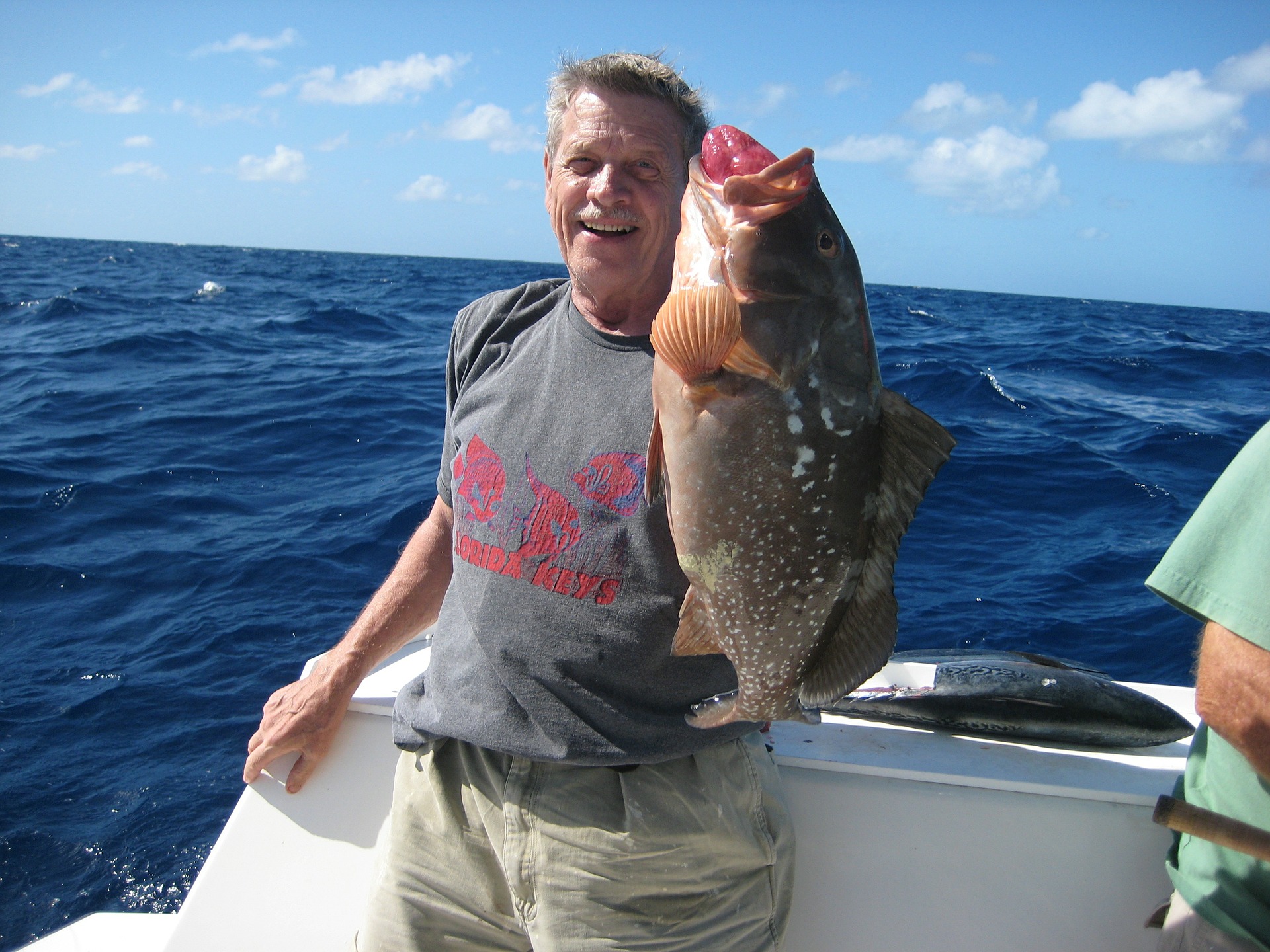 florida fish