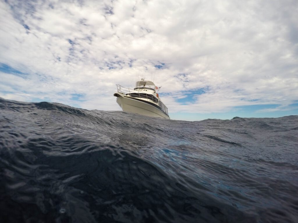 boat trends